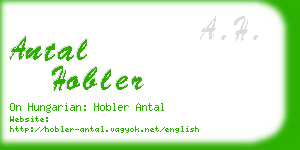 antal hobler business card